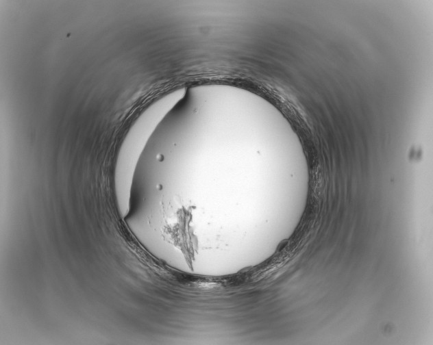 X0000093360509200711011210