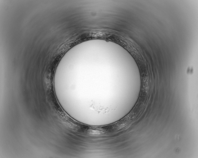 X0000093360510200711011210