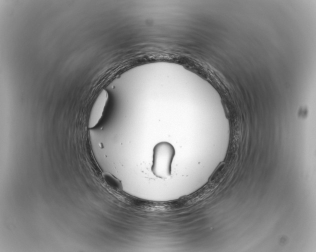 X0000093360513200711011210