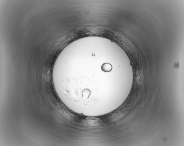 X0000093360514200711011210