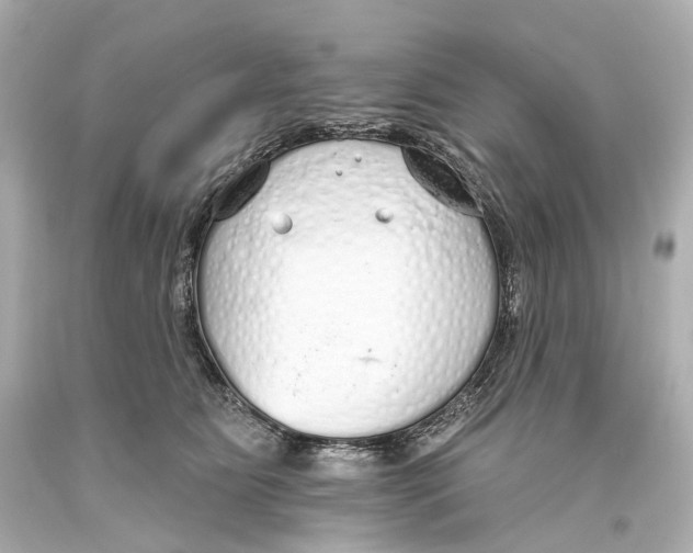 X0000093360515200711011210