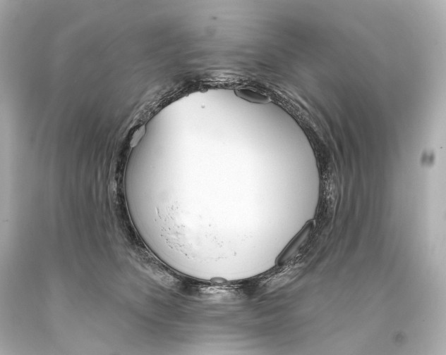 X0000093360516200711011210