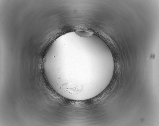 X0000093360517200711011210