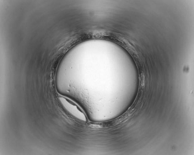 X0000093360519200711011210