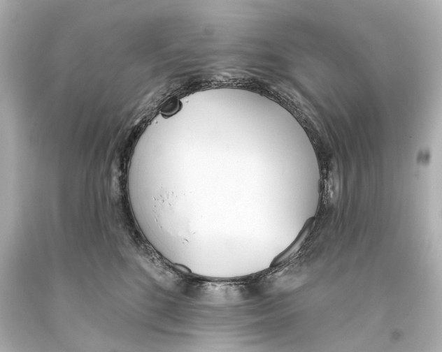 X0000093360520200711011210