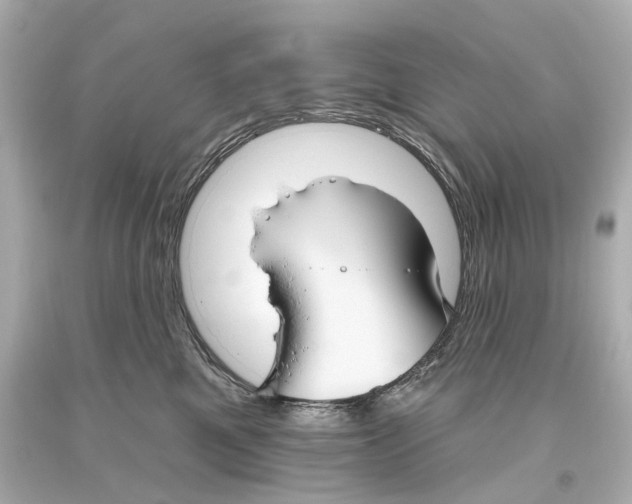 X0000093360521200711011210