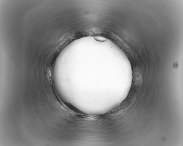 X0000093360523200711011210