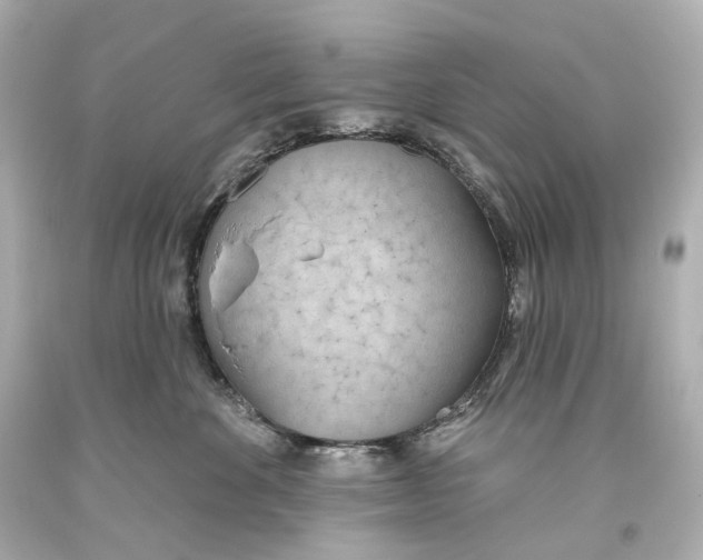 X0000093360524200711011210