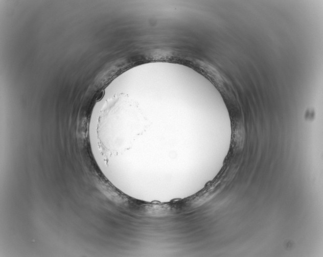 X0000093360525200711011210