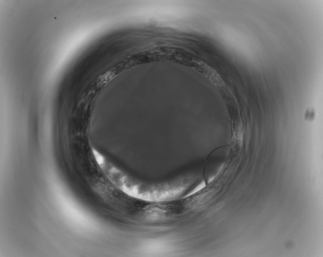 X0000093360526200711011210