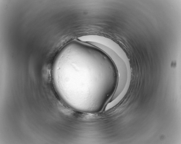 X0000093360527200711011210