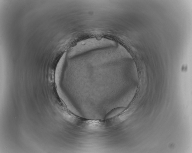 X0000093360528200711011210