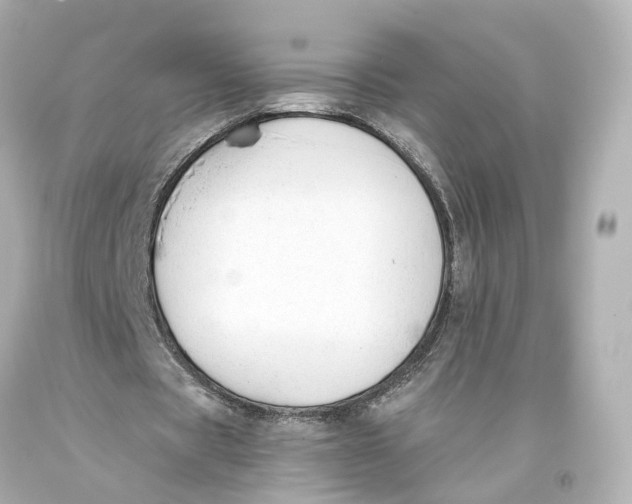 X0000093360529200711011209