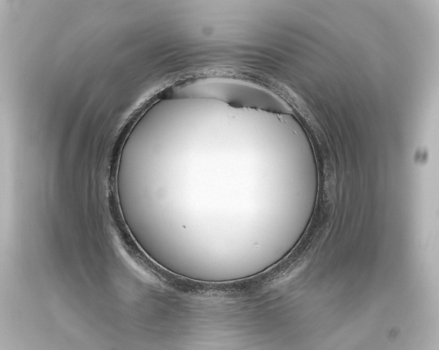 X0000093360530200711011209