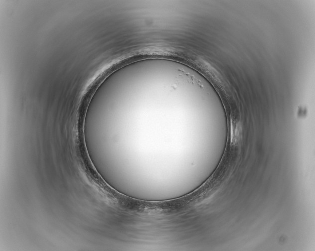 X0000093360531200711011209