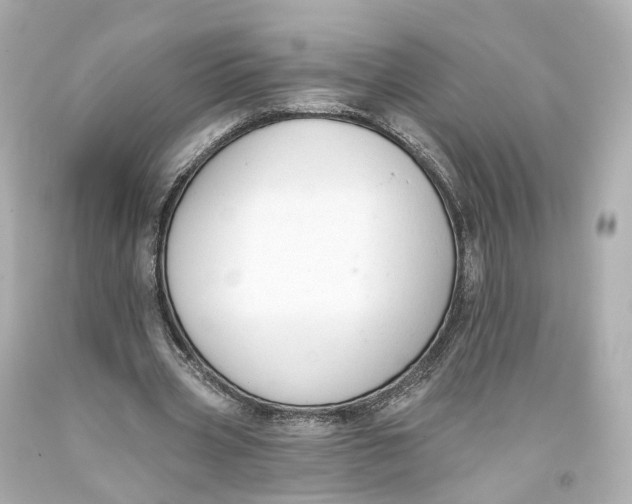 X0000093360533200711011209