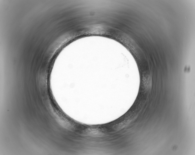 X0000093360534200711011209