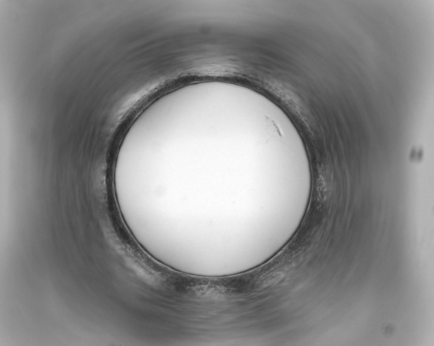 X0000093360535200711011209