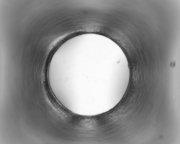 X0000093360536200711011209