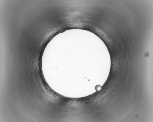 X0000093360538200711011209