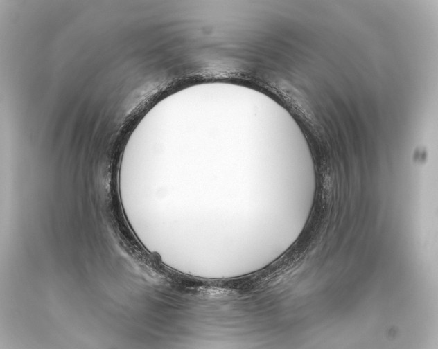 X0000093360539200711011209