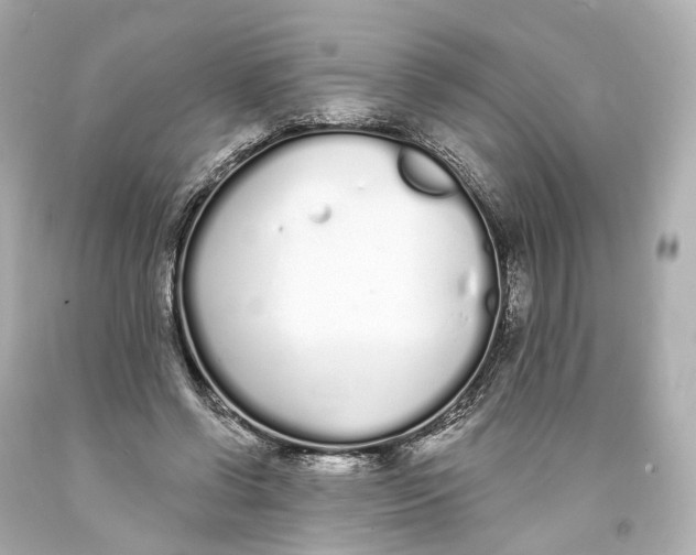 X0000093360542200711011209