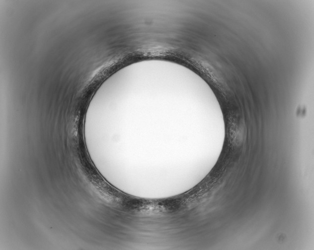 X0000093360543200711011210