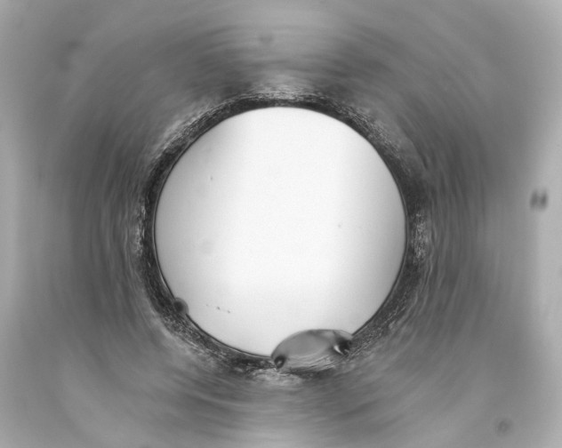 X0000093360544200711011210