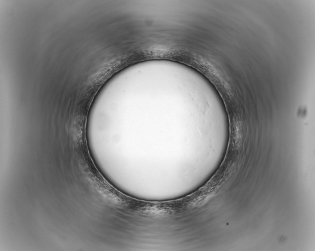 X0000093360545200711011210