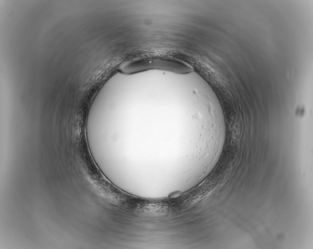 X0000093360546200711011210