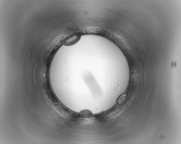 X0000093360548200711011210