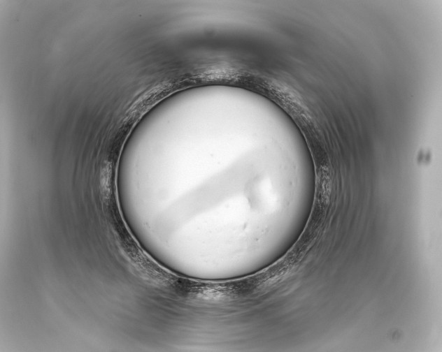 X0000093360550200711011210