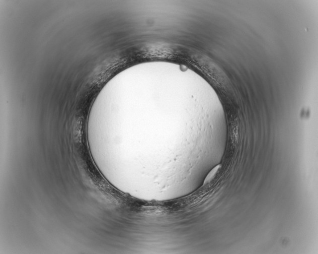 X0000093360551200711011210