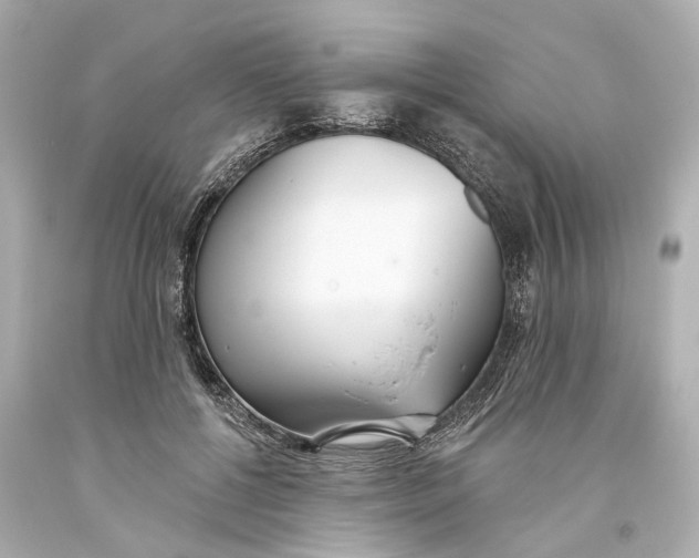 X0000093360552200711011210