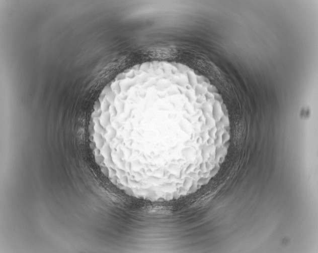 X0000093360553200711011210