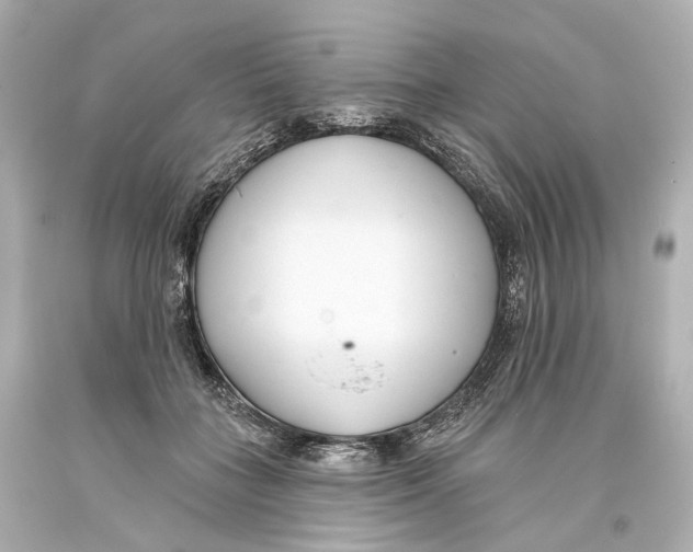 X0000093360555200711011210