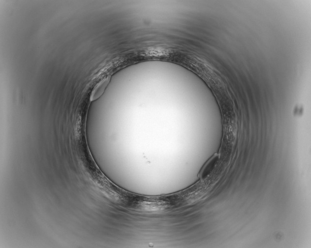 X0000093360556200711011210