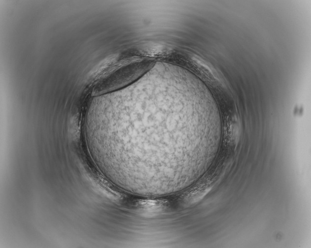 X0000093360558200711011210