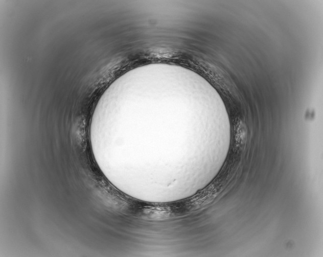 X0000093360559200711011210