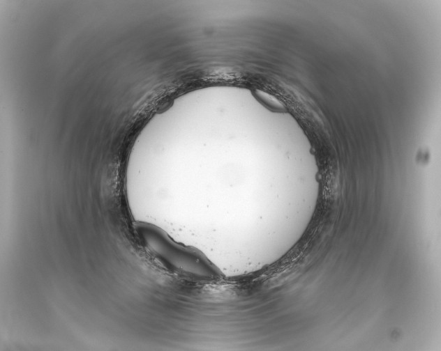 X0000093360560200711011210