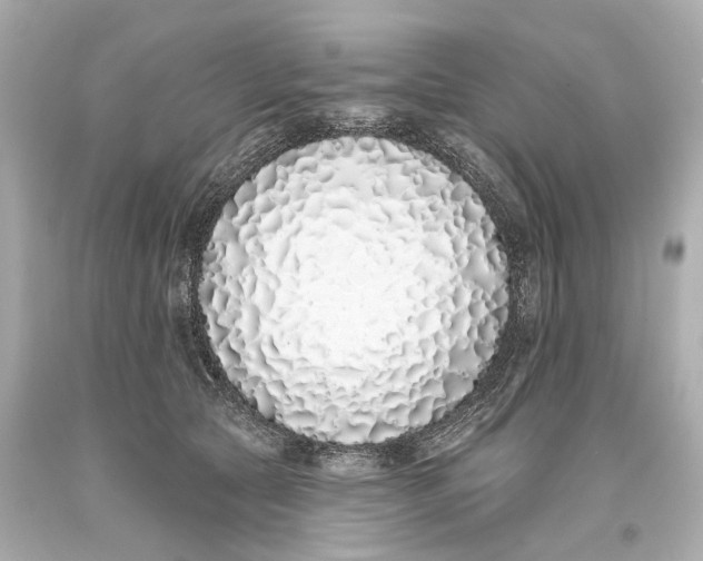 X0000093360561200711011210