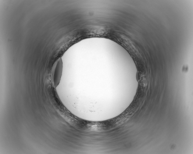 X0000093360564200711011210