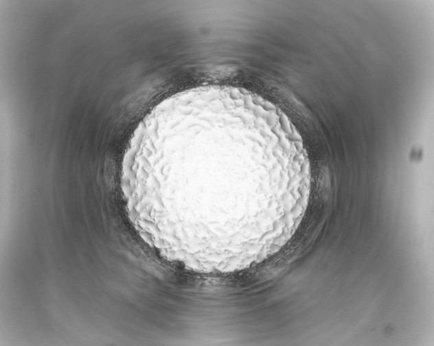 X0000093360565200711011210