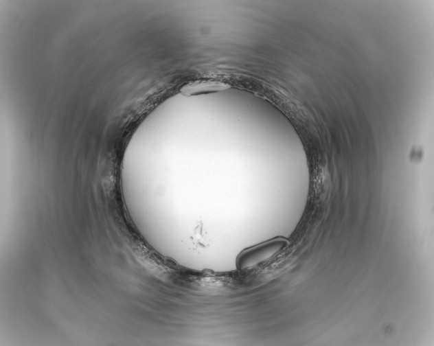 X0000093360566200711011210