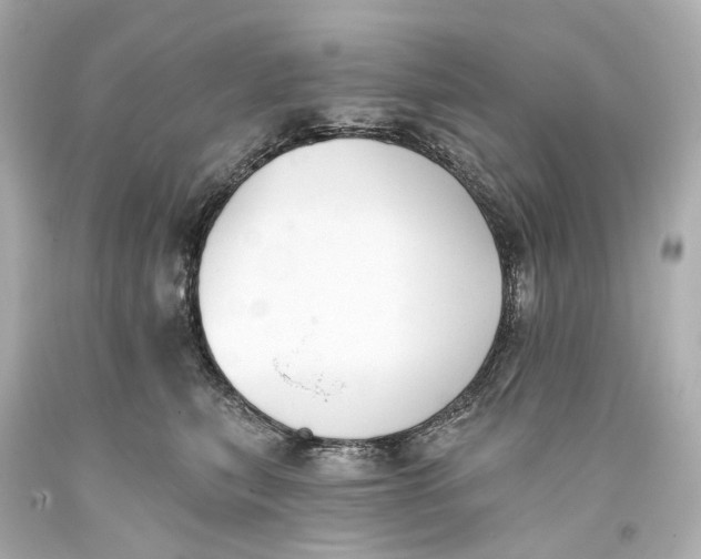 X0000093360567200711011210