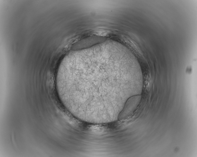 X0000093360568200711011210