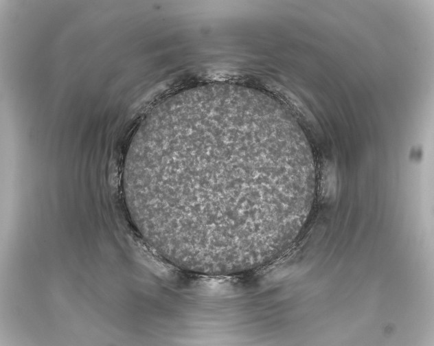 X0000093360569200711011210