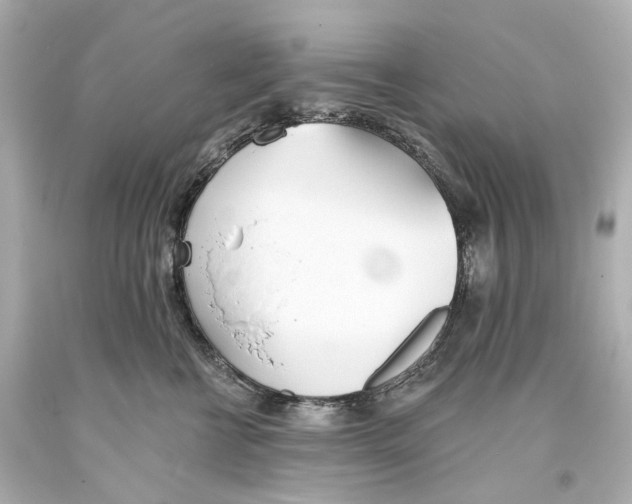 X0000093360570200711011210