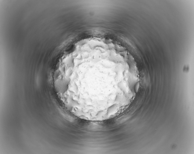 X0000093360573200711011210