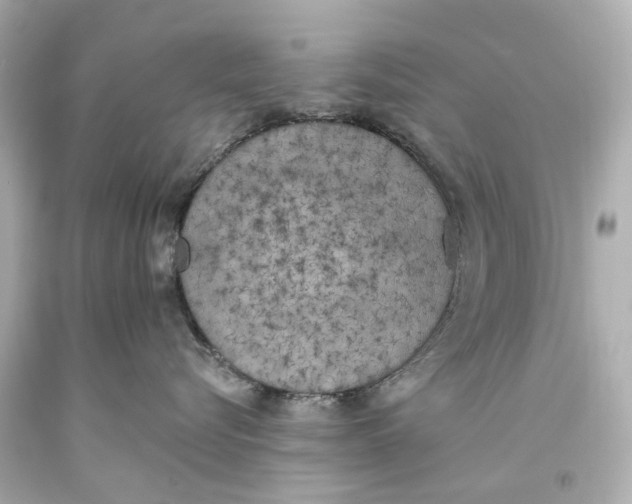 X0000093360576200711011210